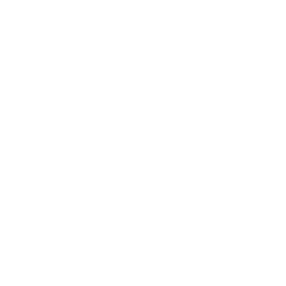 Wieder Consulting